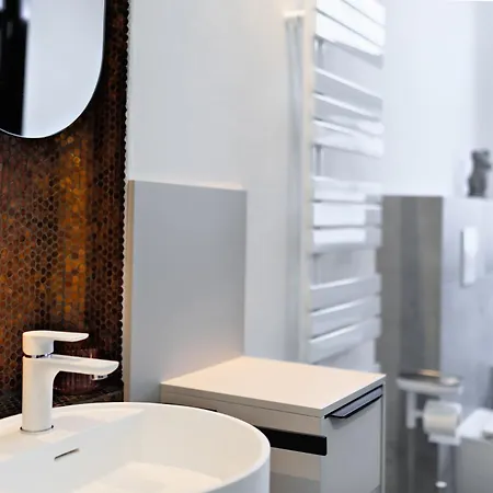 5 Sterne Schlossplatz - Sachsen Vogtland Erzgebirge 6 Personen 3 Sz Sauna Kamin Apartment Auerbach (Vogtland)