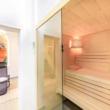 5 Sterne Schlossplatz - Sachsen Vogtland Erzgebirge 6 Personen 3 Sz Sauna Kamin Apartment